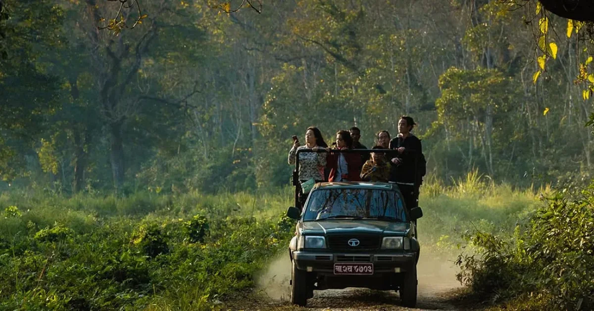 Chitwan Jungle Safari Experience