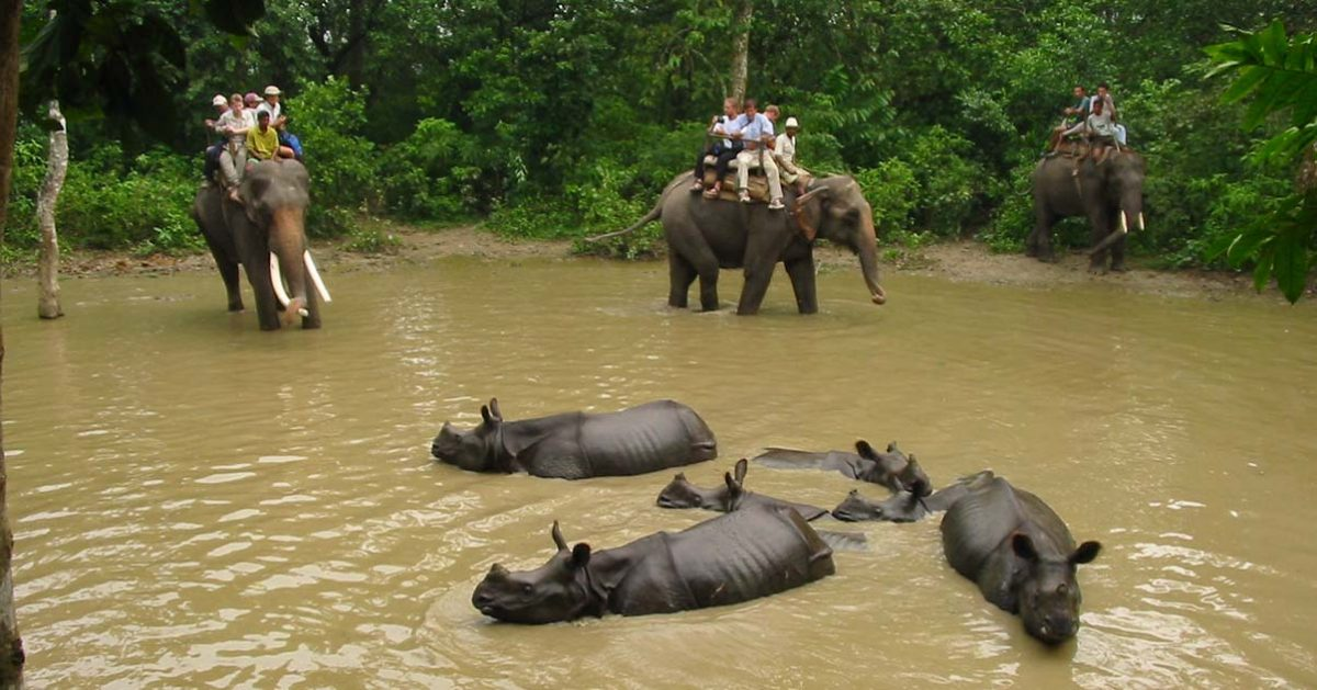 Chitwan Wildlife & Culture Tour