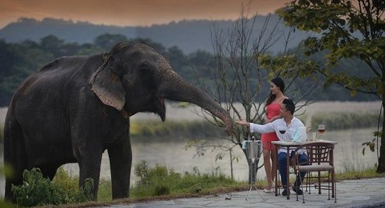 Chitwan Romantic Retreat